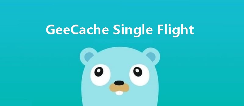 geecache single flight